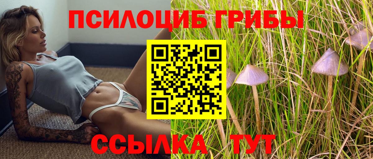 Псилоцибиновые грибы прущие грибы Подольск