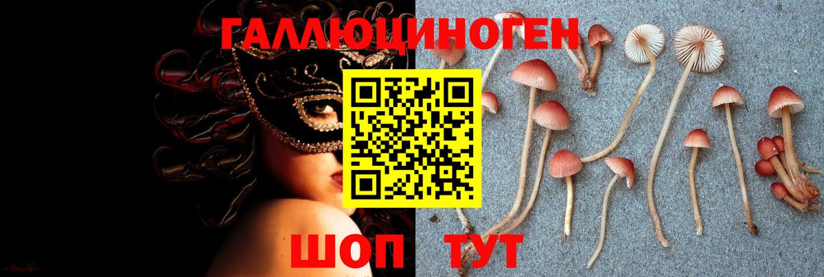 Меф Подольск