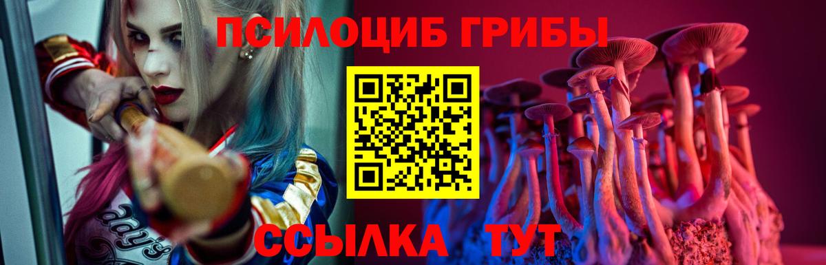 Подольск  Псилоцибиновые грибы ЛСД  Вход с VPN 
